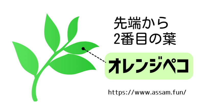 紅茶の”オレンジペコ”ってどんな意味？茶葉の等級を示す用語 - あっさむ